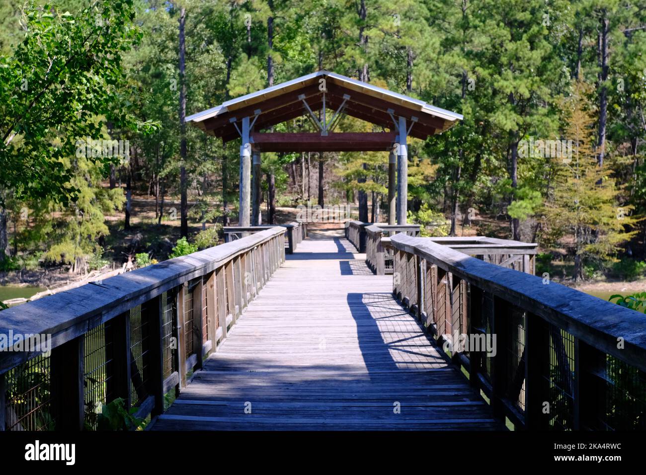 This is a walking hiking bridge over the lake at South Toledo Bend