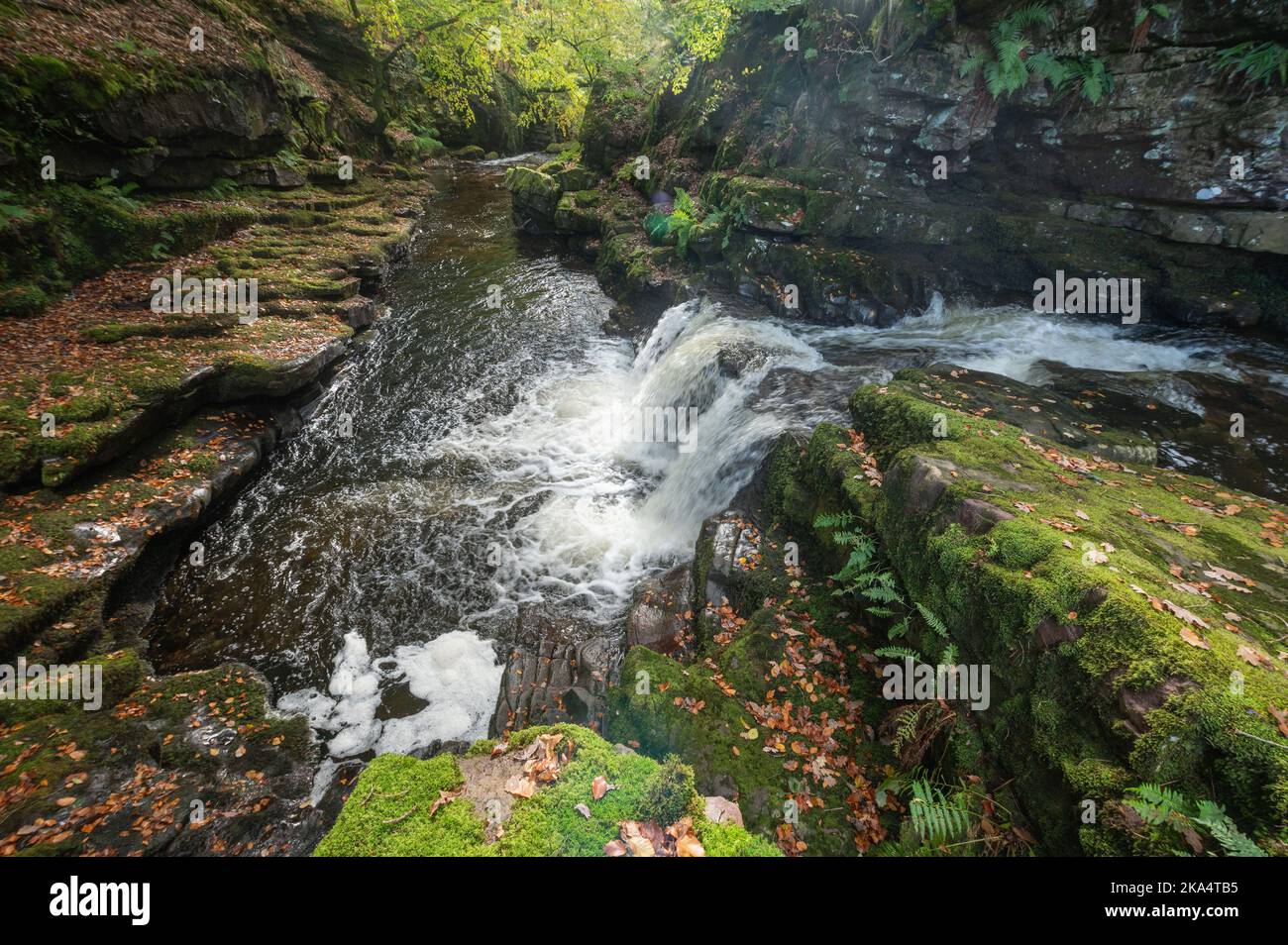 Waterfall on the River Tawe that prevents futher upstream migration of salmonids Stock Photo