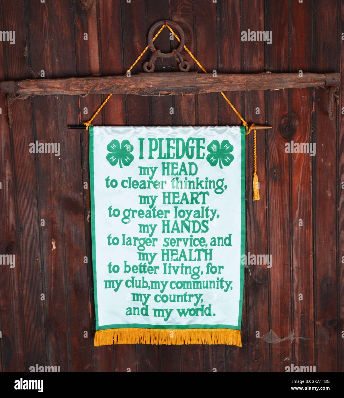 Scenes of farm animals antiques The Lands at Hillside Farms a historic