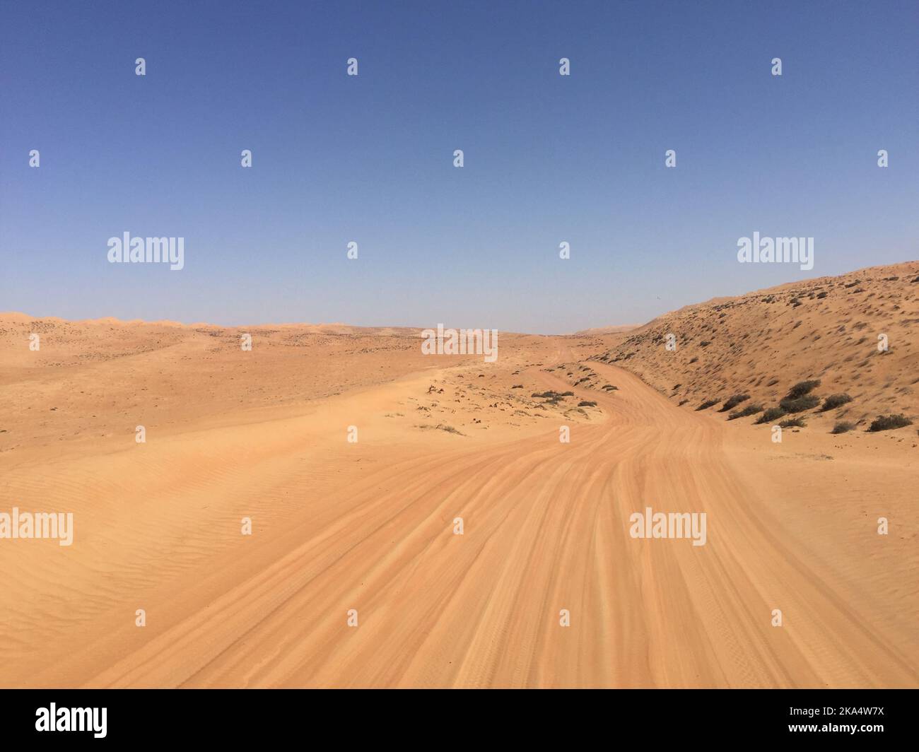 Tyre tracks through the sand dunes in desert landscape at sunset, Wahiba Sands, Oman Stock Photo