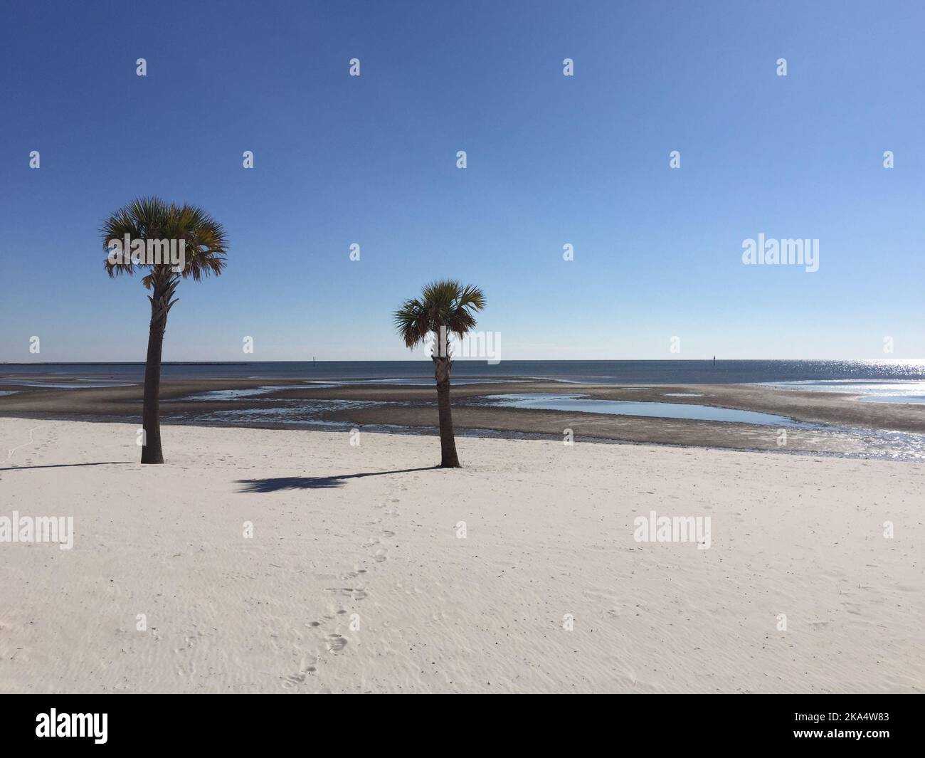 Two palm trees and shadows on an empty beach, Biloxi, Mississippi, USA Stock Photo