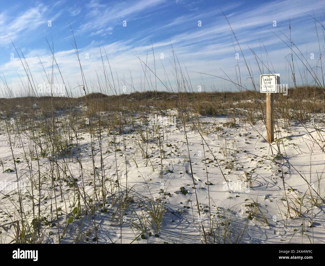 Keep off Dunes sign on beach, Pensacola, Santa Rosa, Florida, USA Stock Photo