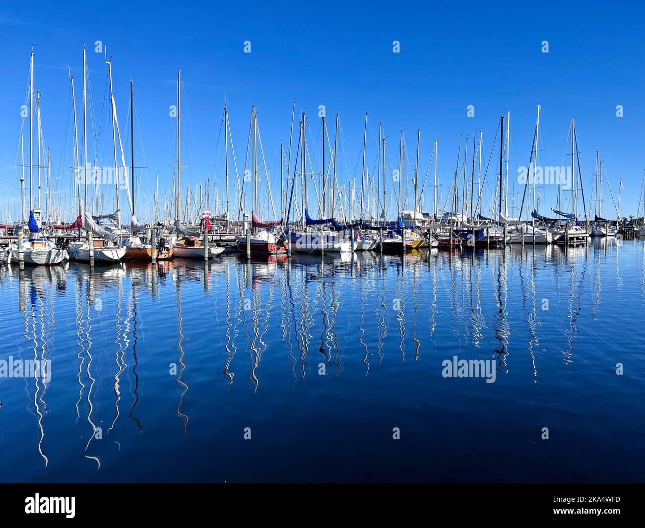 Yachts moored at harbour in Roskilde Fjord, Zealand, Denmark Stock Photo