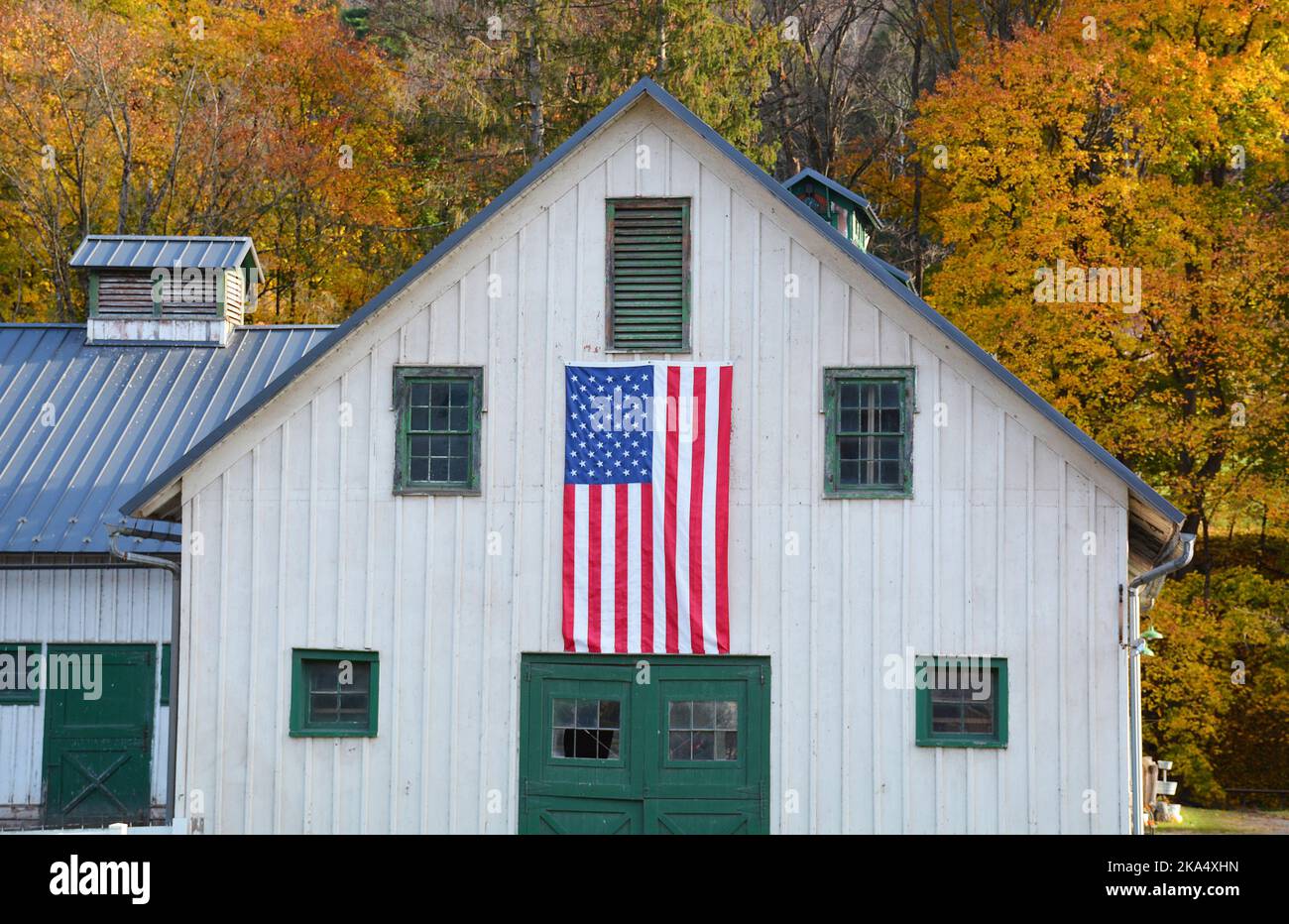 Scenes of farm animals antiques The Lands at Hillside Farms a historic