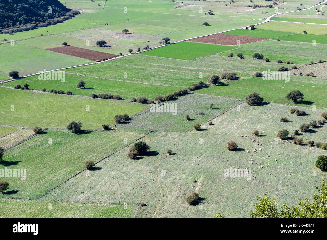 Fertile farmland in the valley between mountains. Aerial view Stock