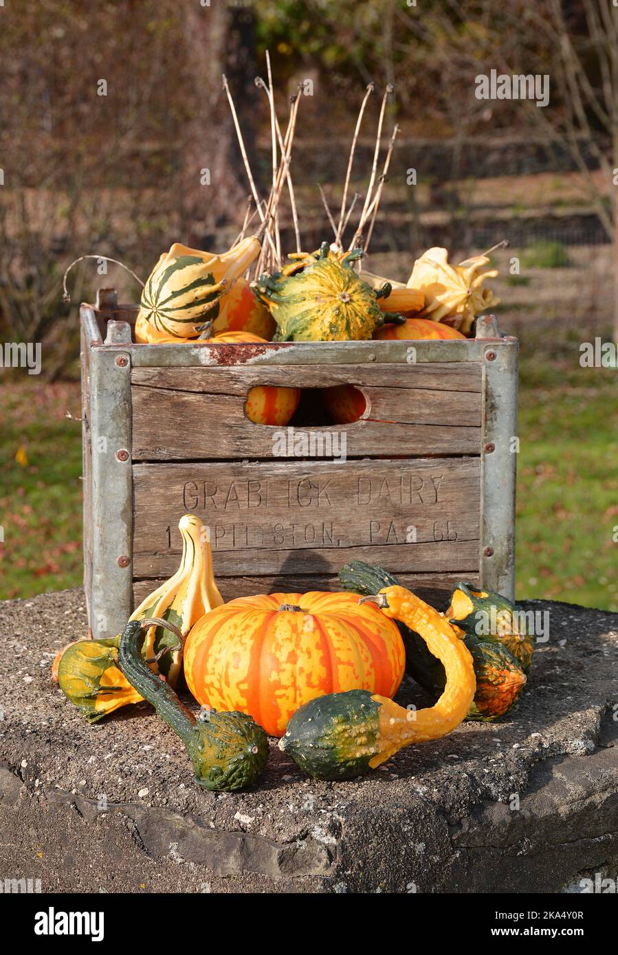 Scenes of farm animals antiques The Lands at Hillside Farms a historic