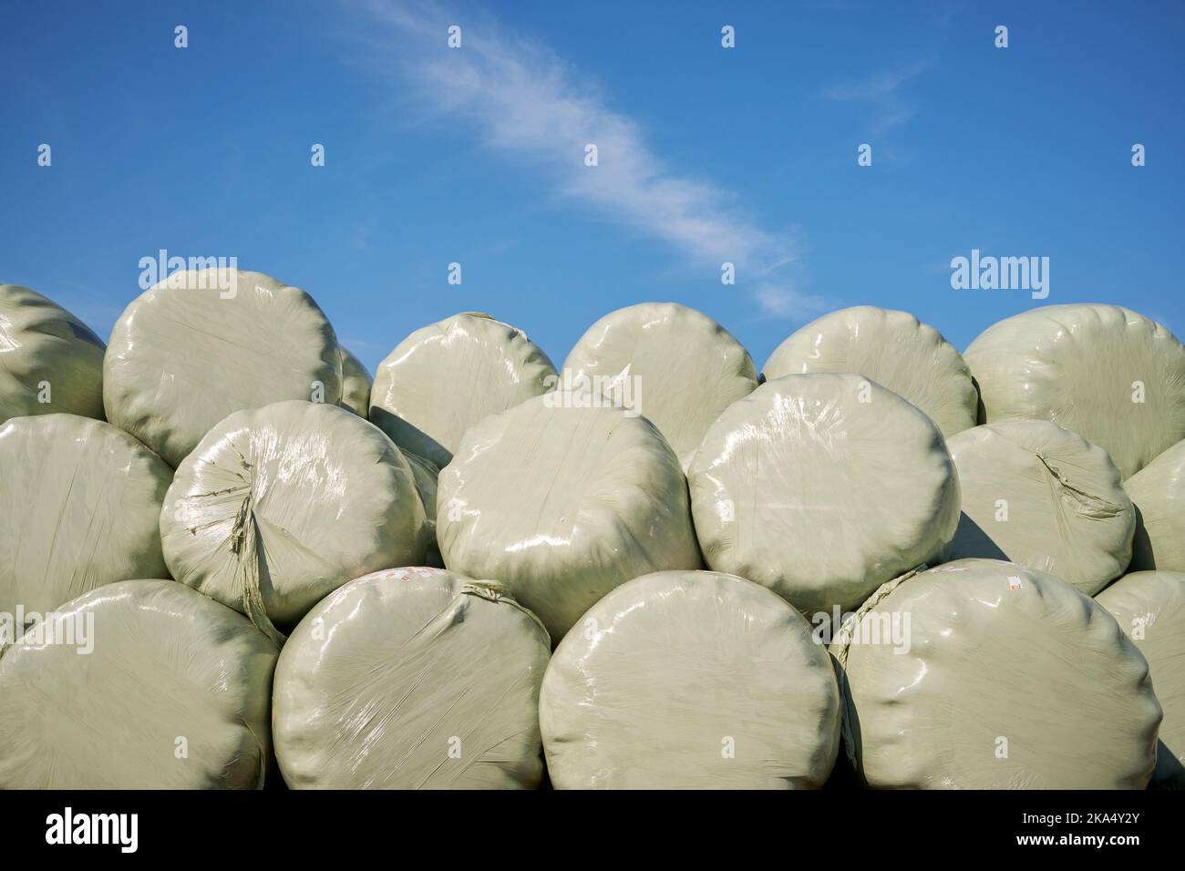 Silage bags against blue sky Stock Photo