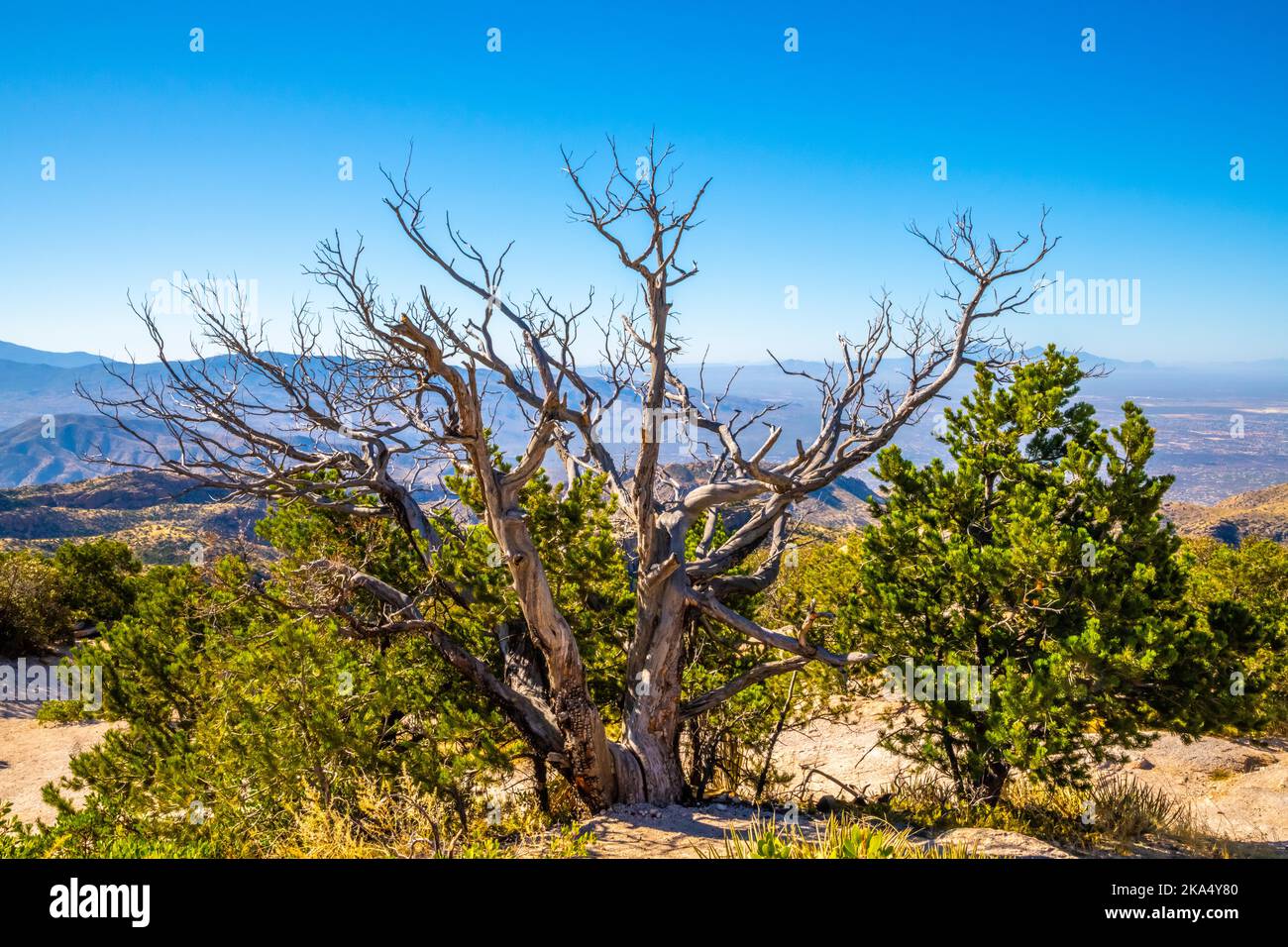 An overlooking view of Tucson, Arizona Stock Photo