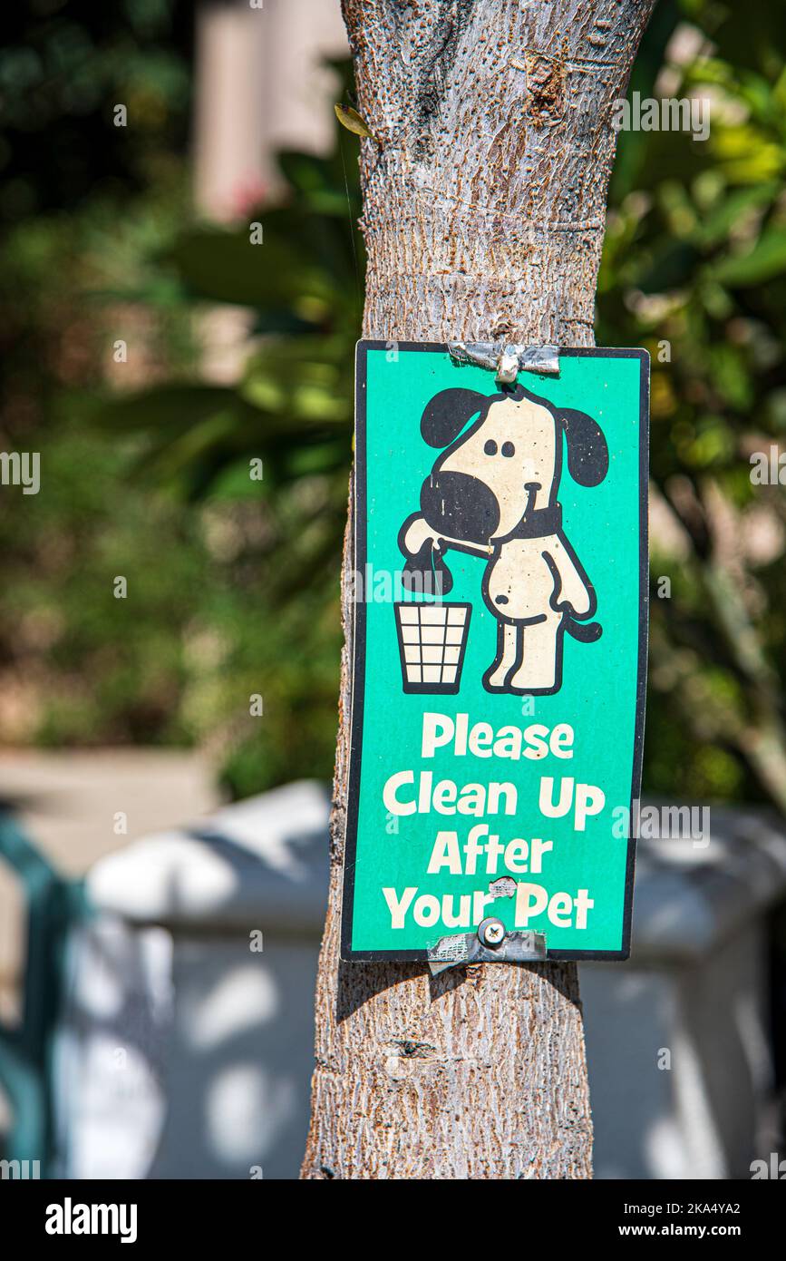 A sign nailed to a tree that shows a cartoon dog throwing away his dog poop and underneath the
