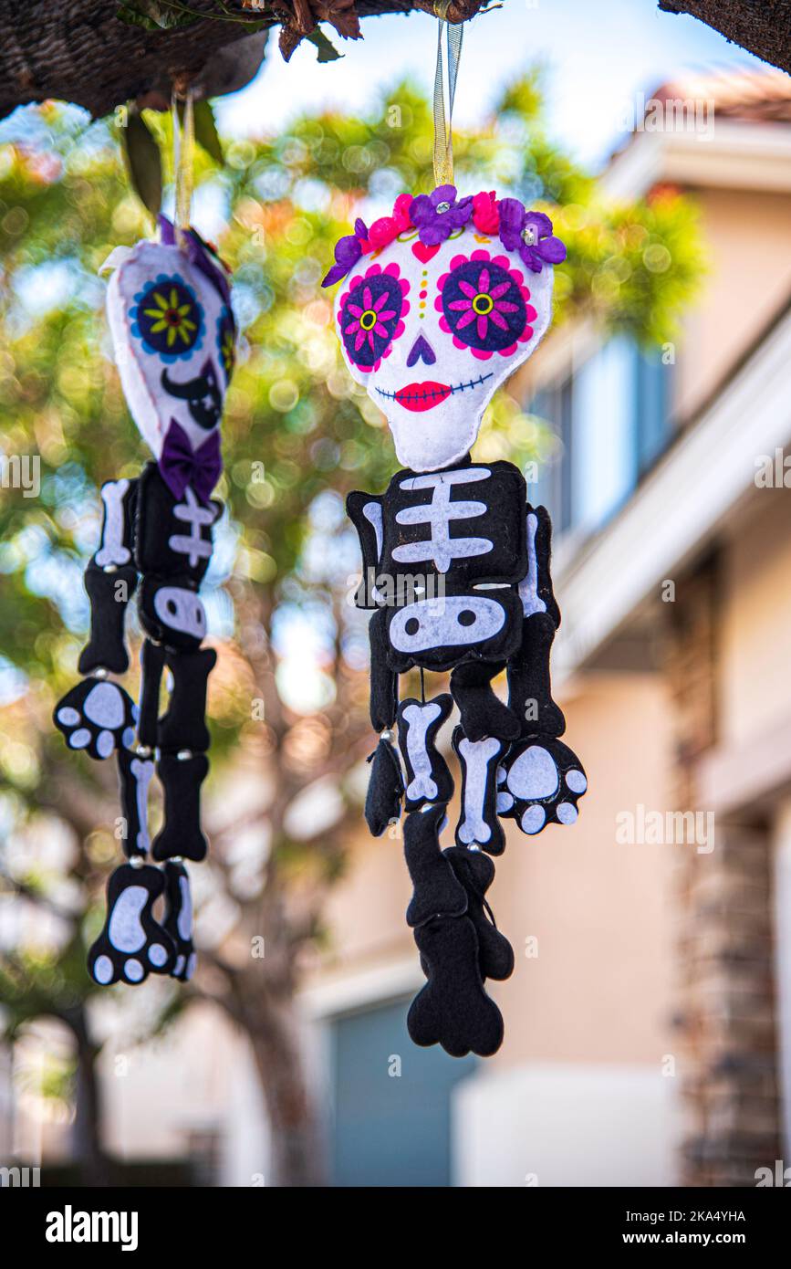 Skulls skull painted black and white body bodies good depth hires