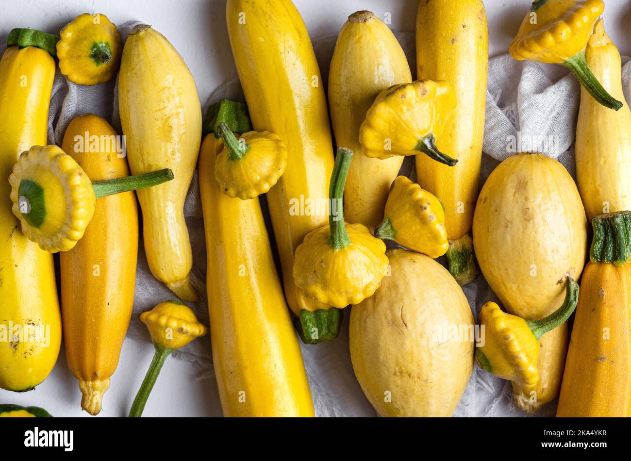 line up of yellow summer squash varieties Stock Photo Alamy