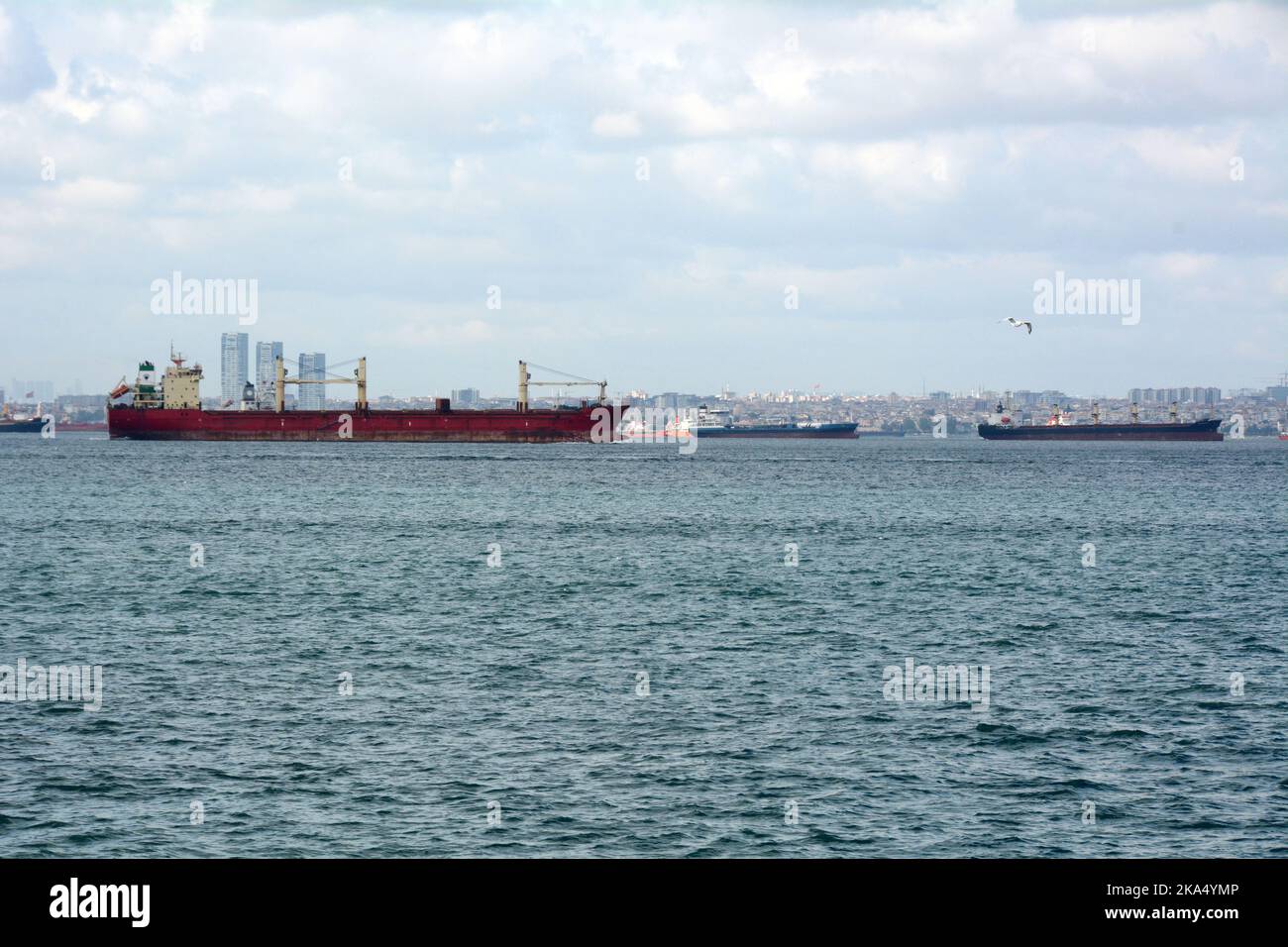 Bulk carrier merchant grain ships bound for Ukraine and Russia await entry in the Sea of Marmara at the south end of the Strait of Bosphorus, Turkey. Stock Photo