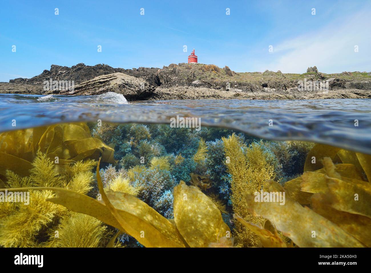 Coastline with a lighthouse and algae underwater, split level view over and under water surface, Atlantic ocean, Spain, Galicia, Rias Baixas Stock Photo