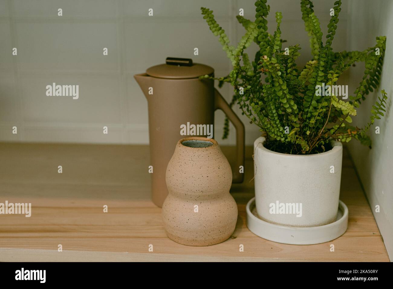 neutral interior design with vases and plants Stock Photo - Alamy