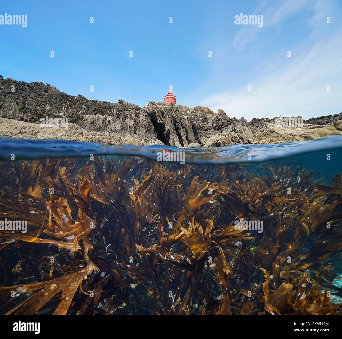 Rocky coast with a lighthouse and kelp underwater, split level view over and under water surface, Atlantic ocean, Spain, Galicia, Rias Baixas Stock Photo