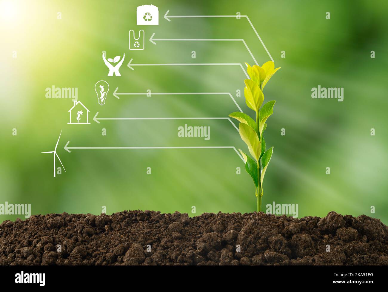 Close up photo of lightbulb with recycle icon with nature background as ...