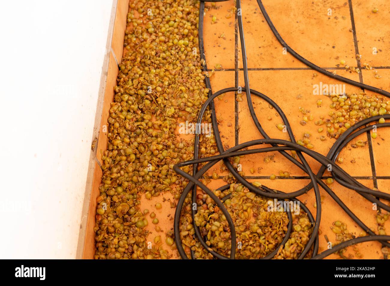 Crushed grapes ground hires stock photography and images Alamy