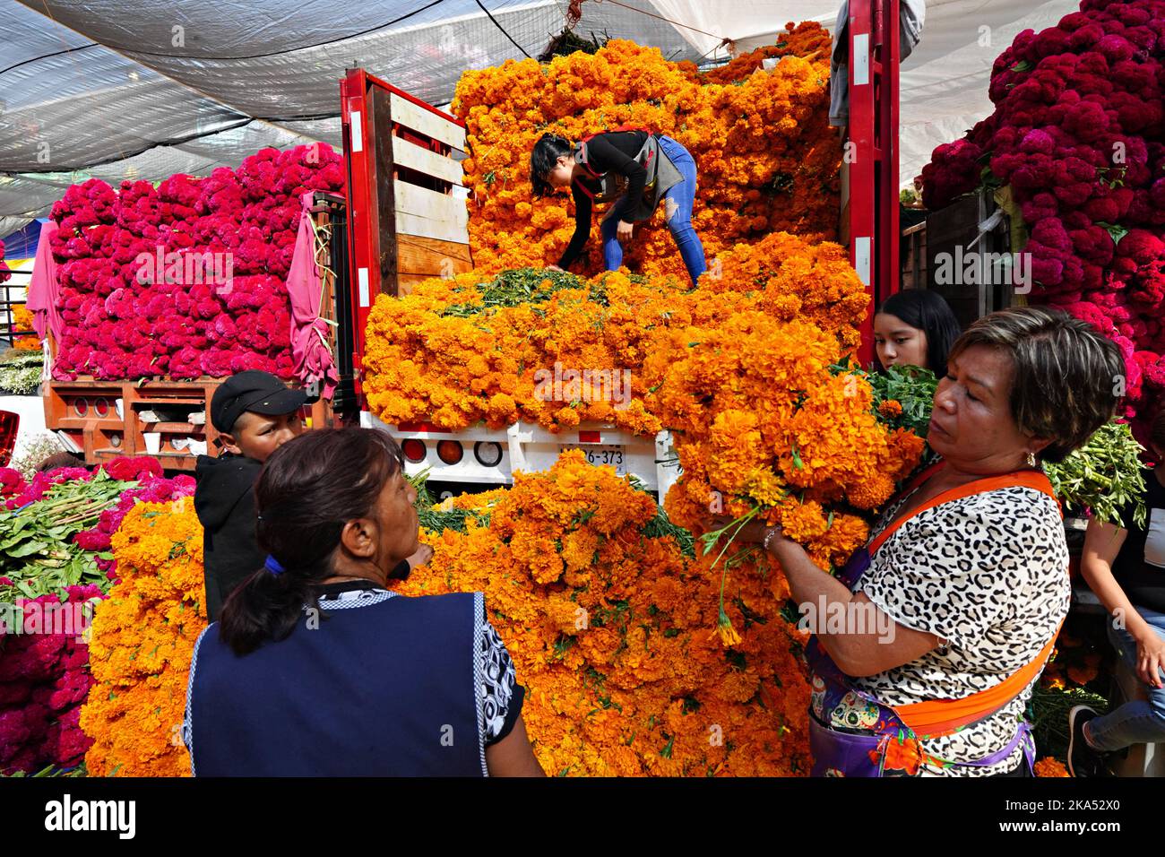 Mexico City, Mexico. 31st Oct, 2022. Mexican women purchase bundles of cempasuchil flowers, the traditional Day of the Dead flower used to decorate altars and gravesites during the annual festival at the Jamaica Flower Market, October 31, 2022 in Mexico City, Mexico. Credit: Richard Ellis/Richard Ellis/Alamy Live News Stock Photo