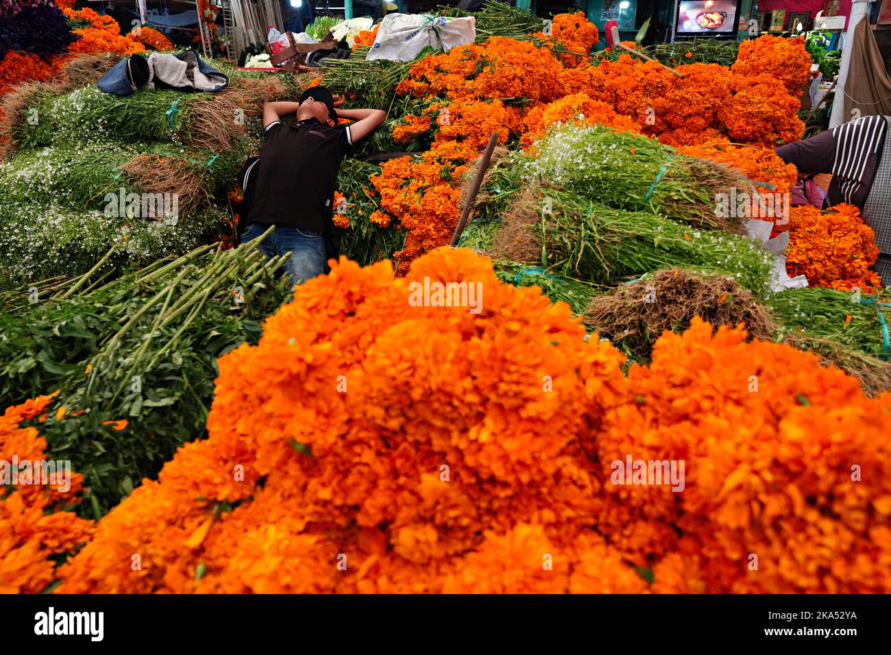 Mexico City, Mexico. 31st Oct, 2022. A flower seller sleeps on a giant