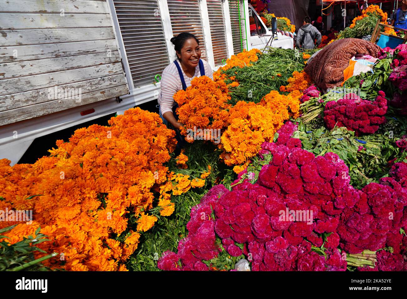 Mexico City, Mexico. 31st Oct, 2022. A flower vendor arranges piles of red cockscomb and cempasuchil, the traditional Day of the Dead flowers used to decorate altars and gravesites during the annual festival at the Jamaica Flower Market, October 31, 2022 in Mexico City, Mexico. Credit: Richard Ellis/Richard Ellis/Alamy Live News Stock Photo