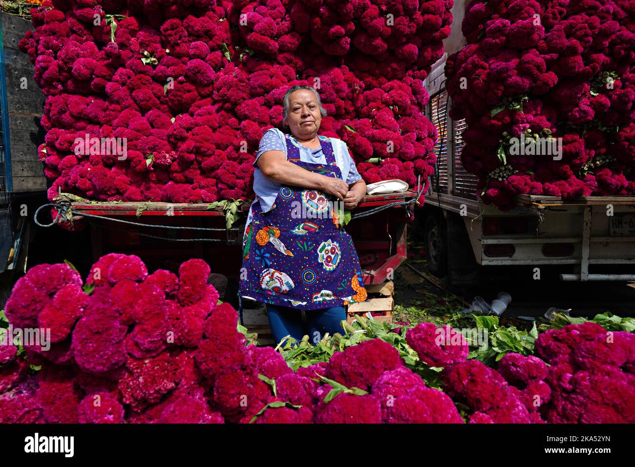 Mexico City, Mexico. 31st Oct, 2022. A flower seller waits for customers behind a giant stack of red cockscomb flowers used to decorate altars and gravesites during the annual Day of the Dead festival at the Jamaica Flower Market, October 31, 2022 in Mexico City, Mexico. Credit: Richard Ellis/Richard Ellis/Alamy Live News Stock Photo