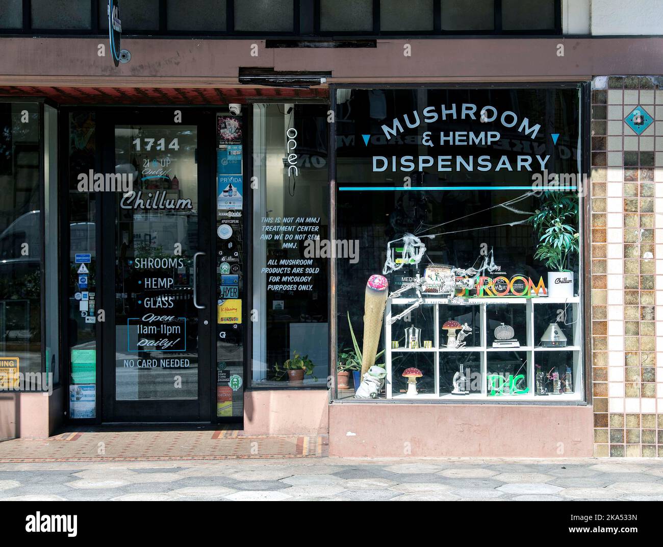 Tampa, Florida, USA. 31st Oct, 2022. Chillum, a Tampa hemp dispensary founded in 2018, is now selling mushrooms that have hallucinogenic properties, but do not contain psiliocybin, the substance banned for sale by the Department of Justice as a schedule 1 drug. Imported from Lithuania, the mushroom products offered at Chillum, including capsules, gummies, powders and joints, contain Amanita muscaria and other mushroom-derived substances currently legal in all states except for Louisiana.(Credit Image: © Brian Cahn/ZUMA Press Wire) Stock Photo