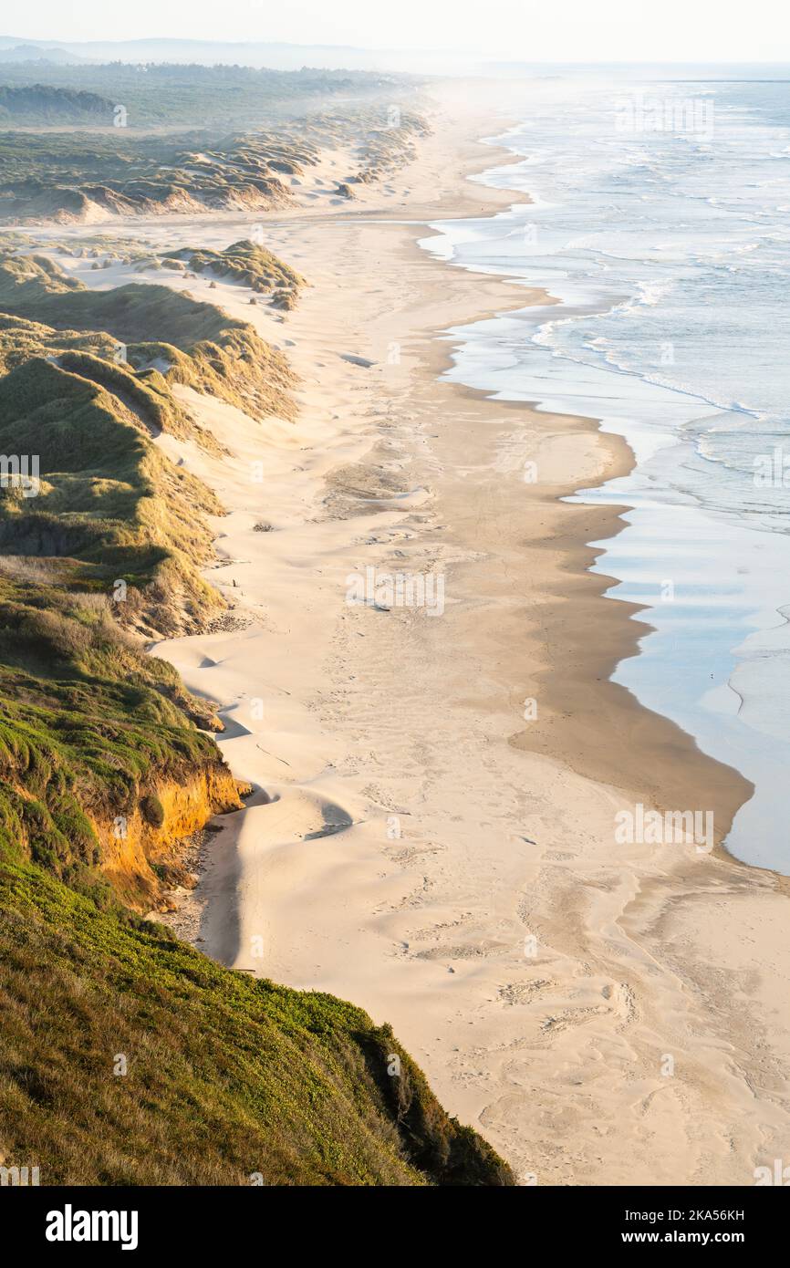 Sand dunes along the Oregon Coast reaching to the edge of the Pacific Ocean and the horizon Stock Photo