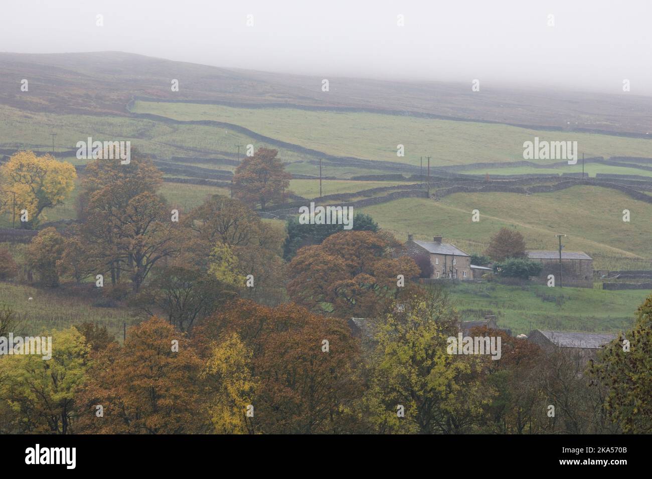 Landscape near Grinton, North Yorkshire, England, United Kingdom Stock Photo