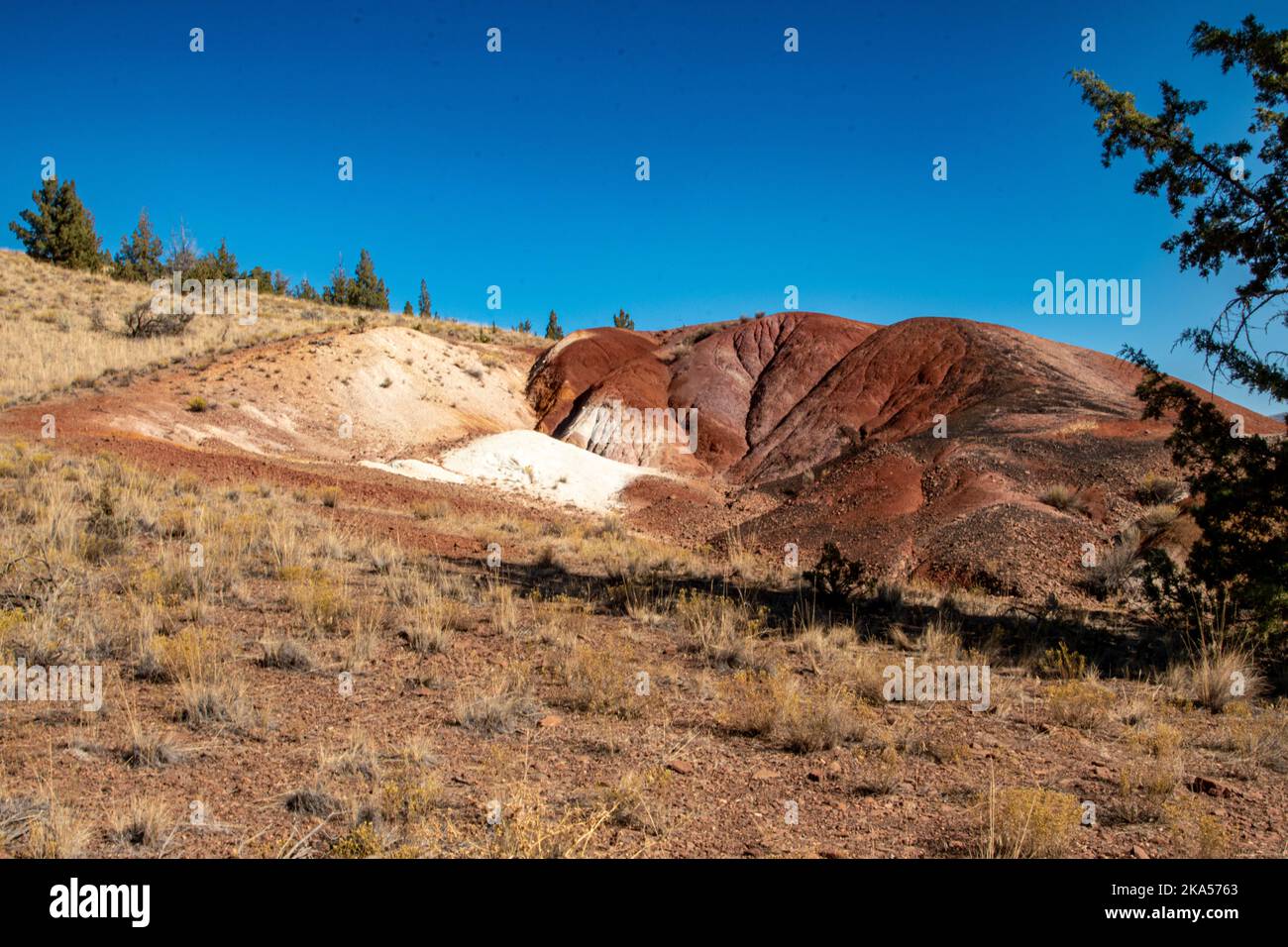 The painted Hill of John Key Fossil Beds, with the morning sun lighting up the hills. Stock Photo