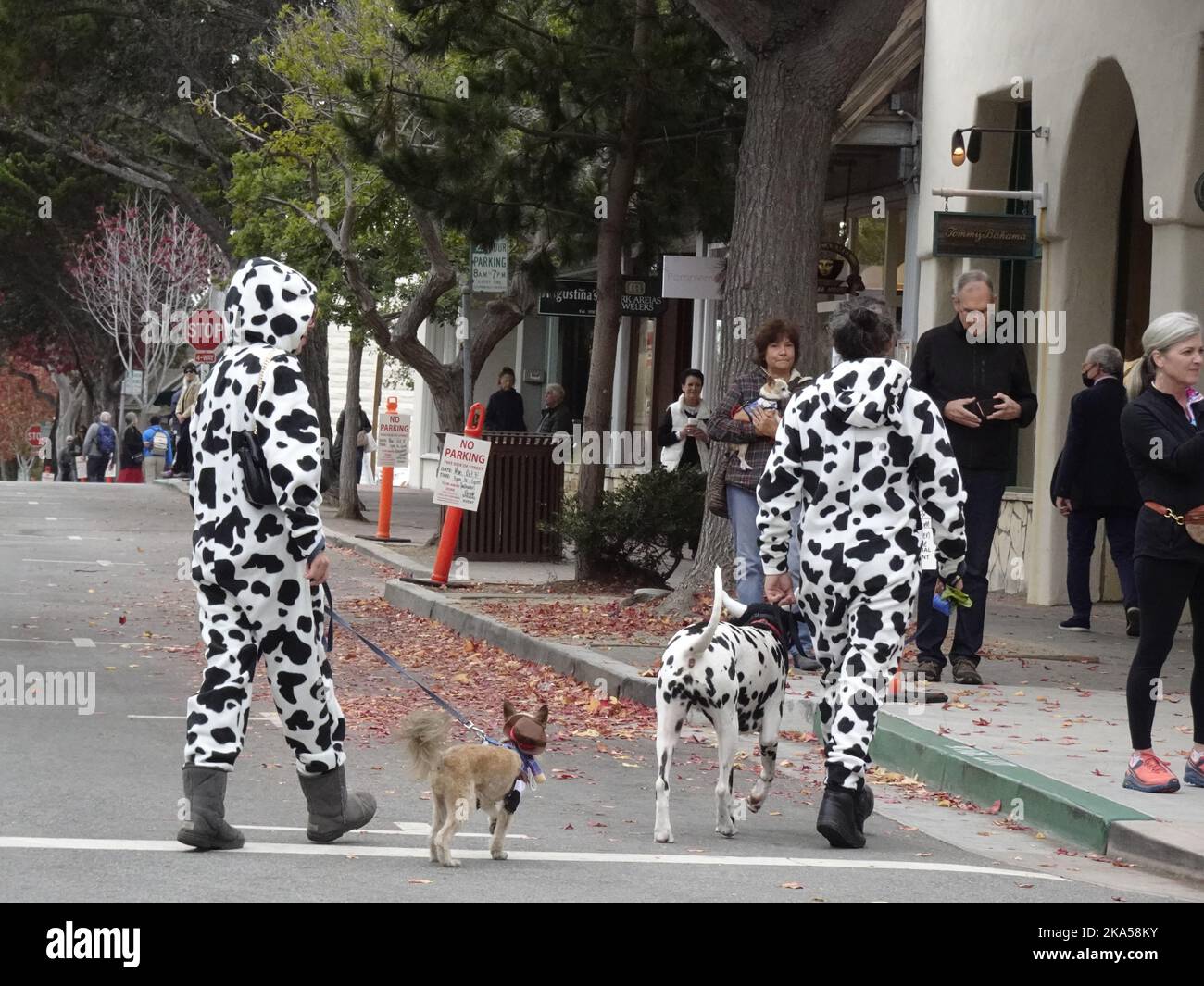 Carmel by the Sea, California, USA. 31st Oct, 2022. Scenes from the