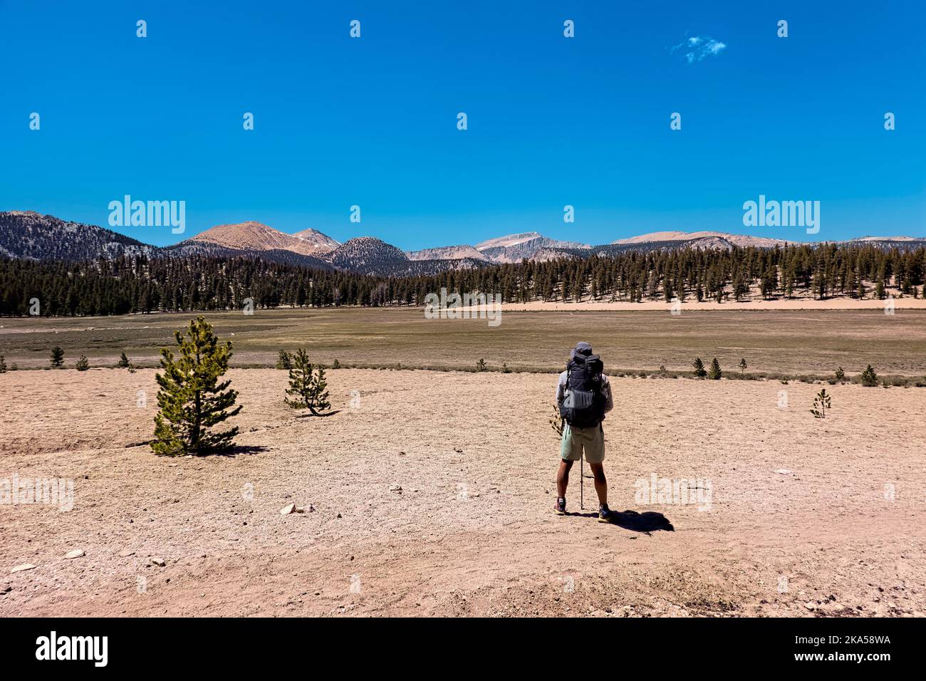 Trekking into the Sierras from Kennedy Meadows on the Pacific Crest Trail, California, USA Stock Photo