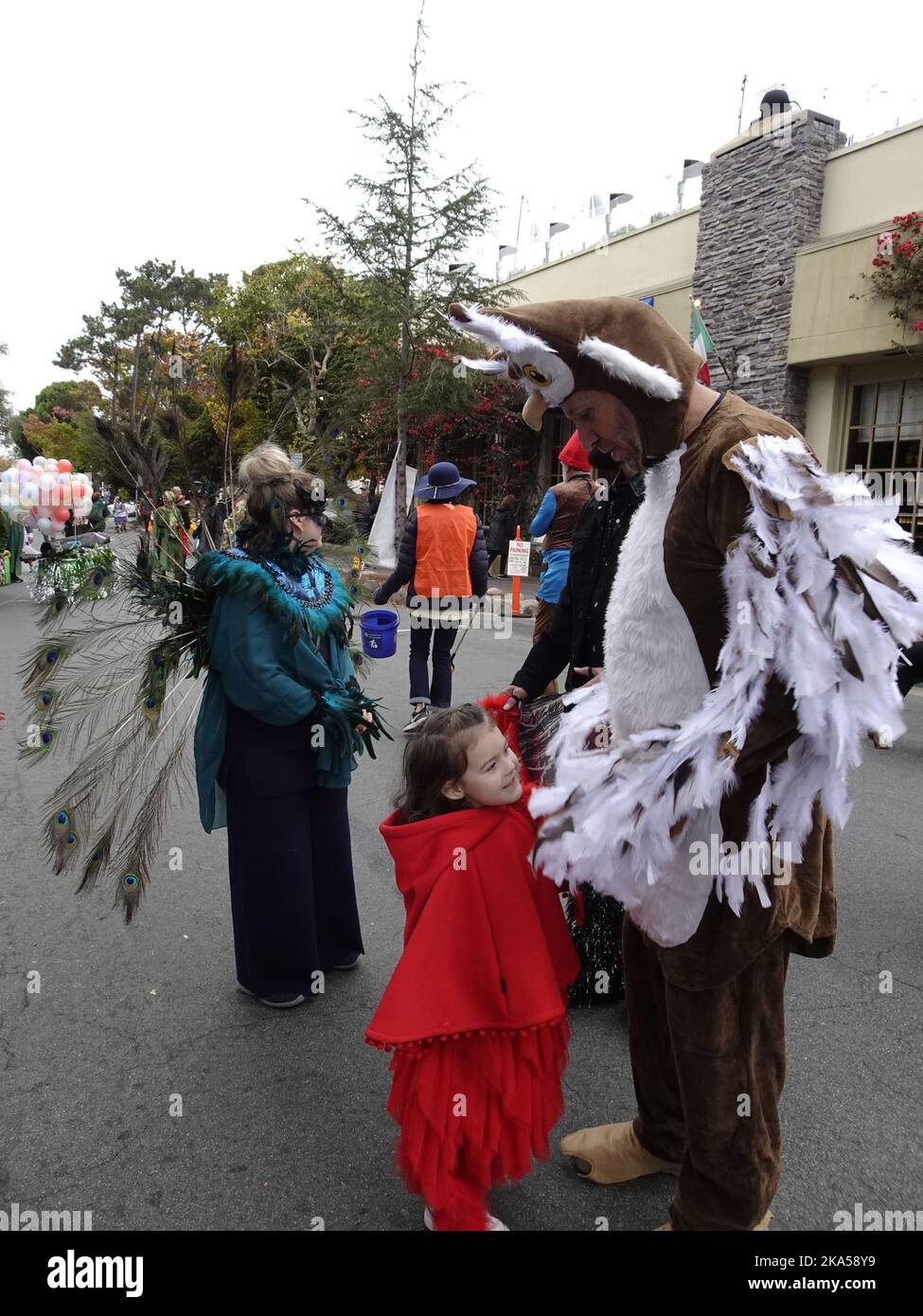 Carmel by the Sea, California, USA. 31st Oct, 2022. Scenes from the