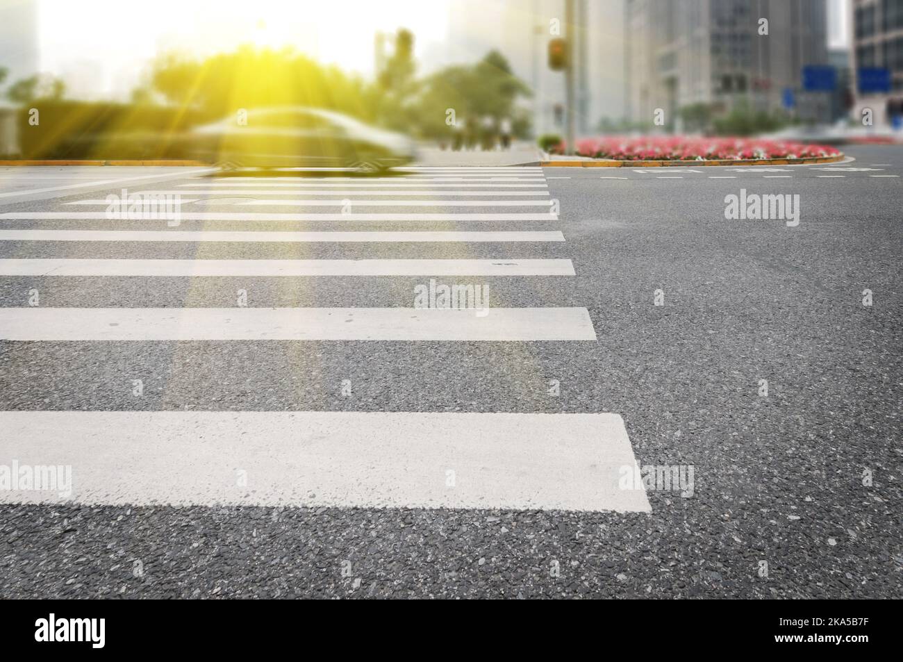 Zebra pedestrian crossing Stock Photo Alamy