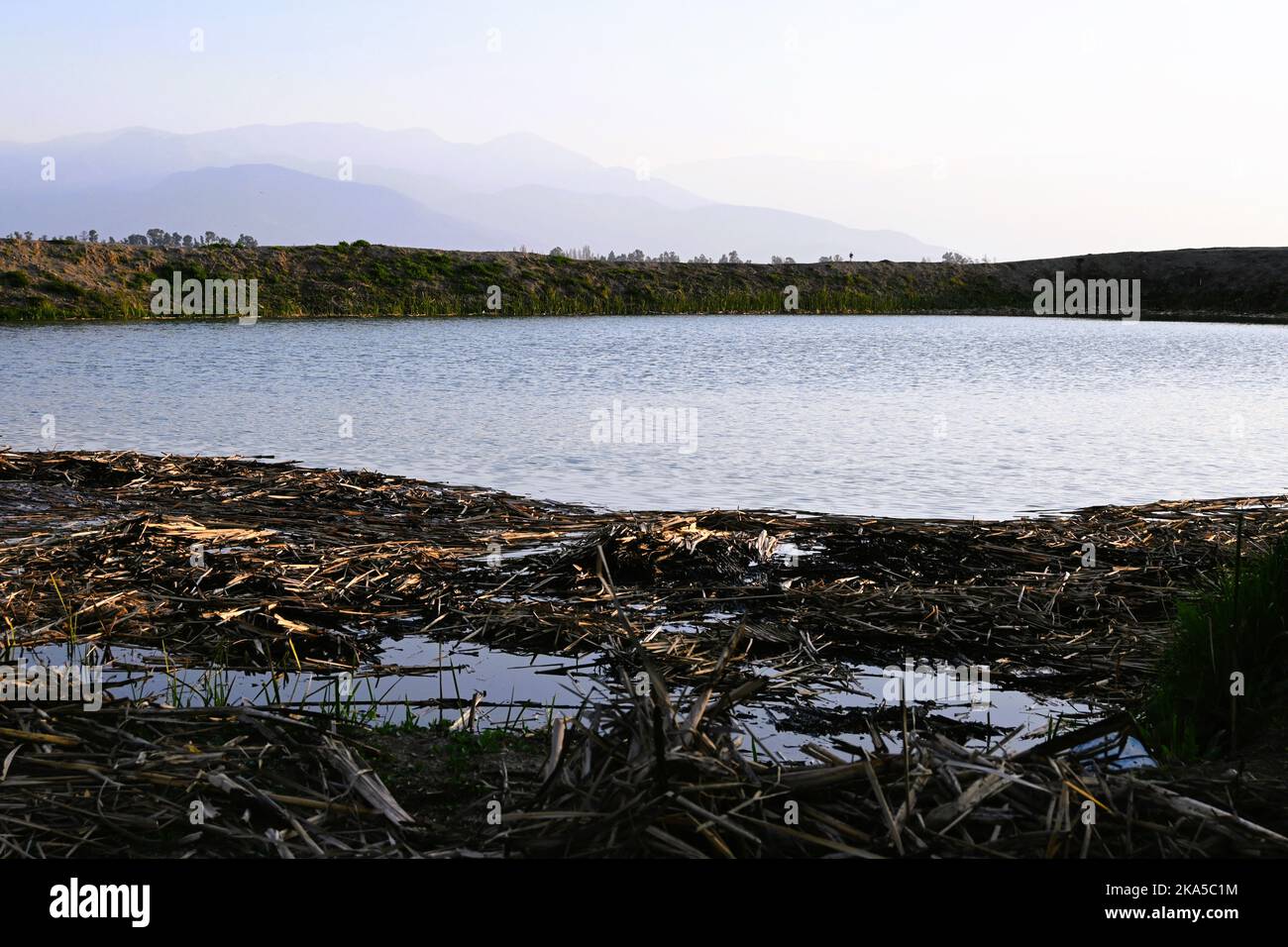 Water calm in marsh trees hi-res stock photography and images - Alamy