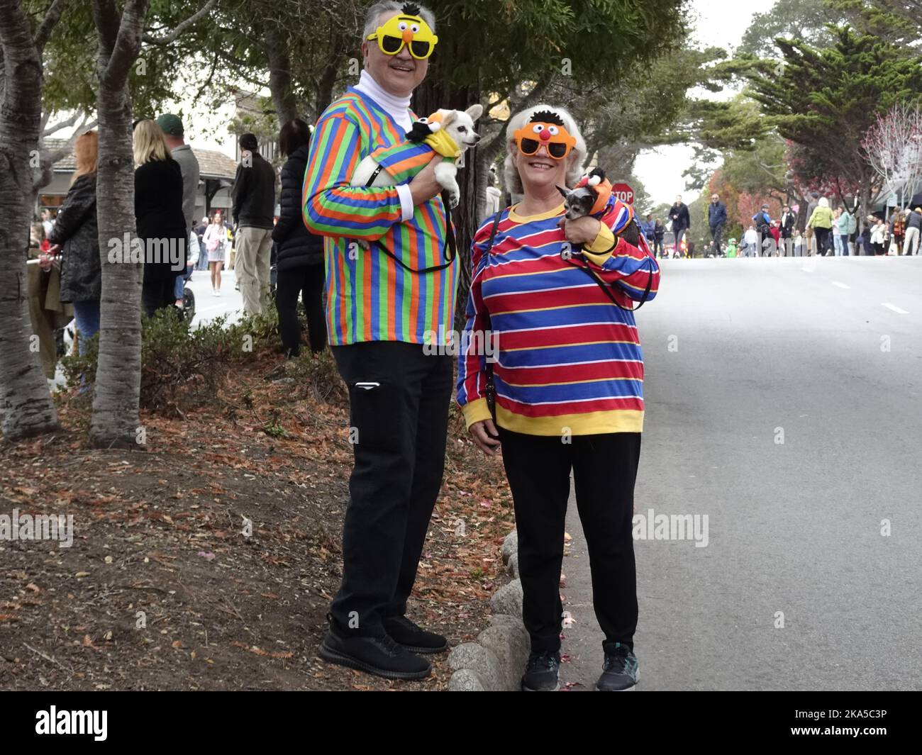 Carmel by the Sea, California, USA. 31st Oct, 2022. Scenes from the