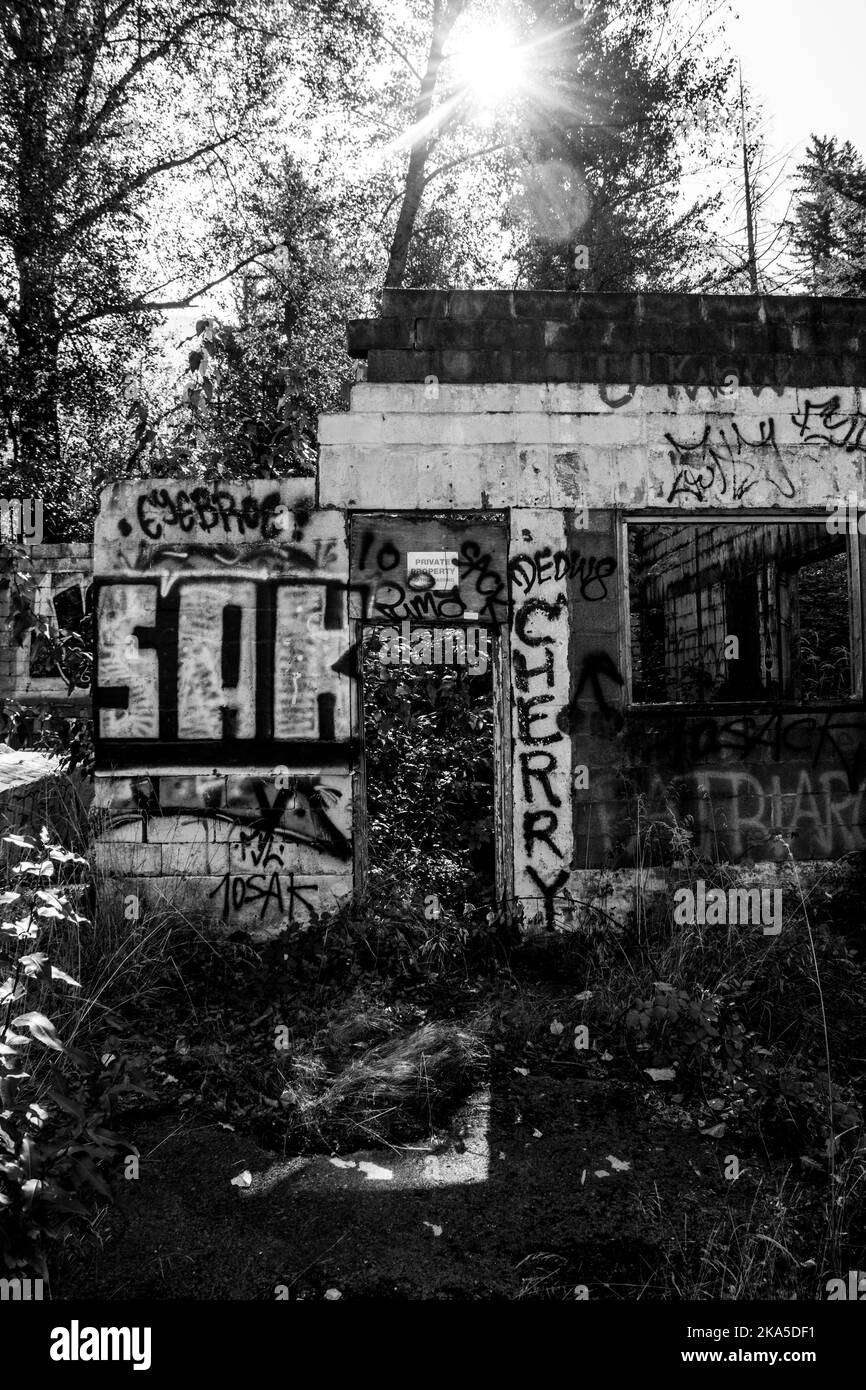 Rundown building overgrown with plants and covered in spray paint. Stock Photo