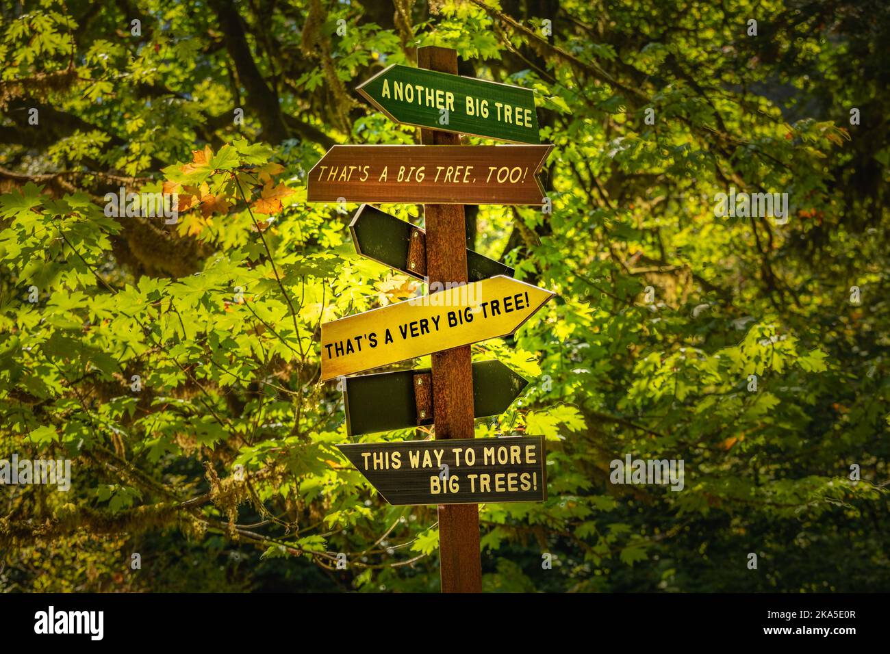 Redwood National Park established on 1968 and California's State Parks