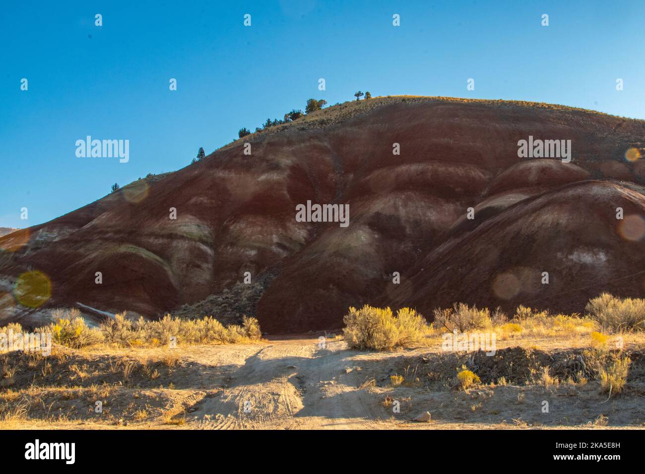 Morning sunlight hits the painted hills in eastern Oregon. Stock Photo