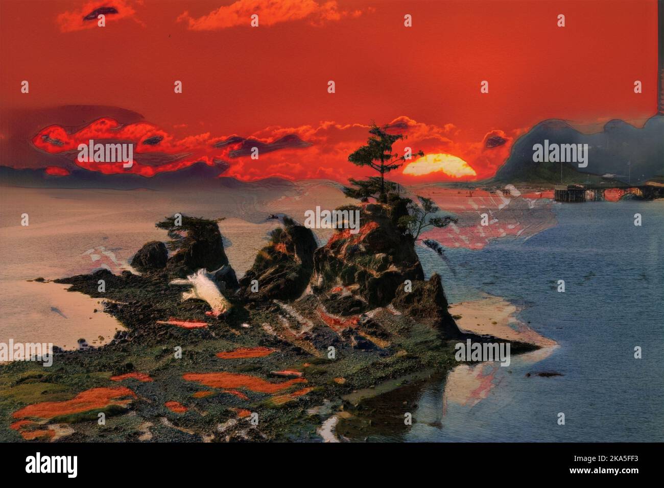 A small rocking outcropping with deadwood and a tree growing on the ...