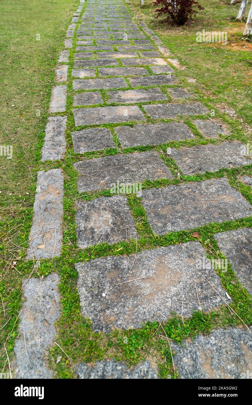 Walkways, concrete slabs lined up in lawns, beautiful designs, garden