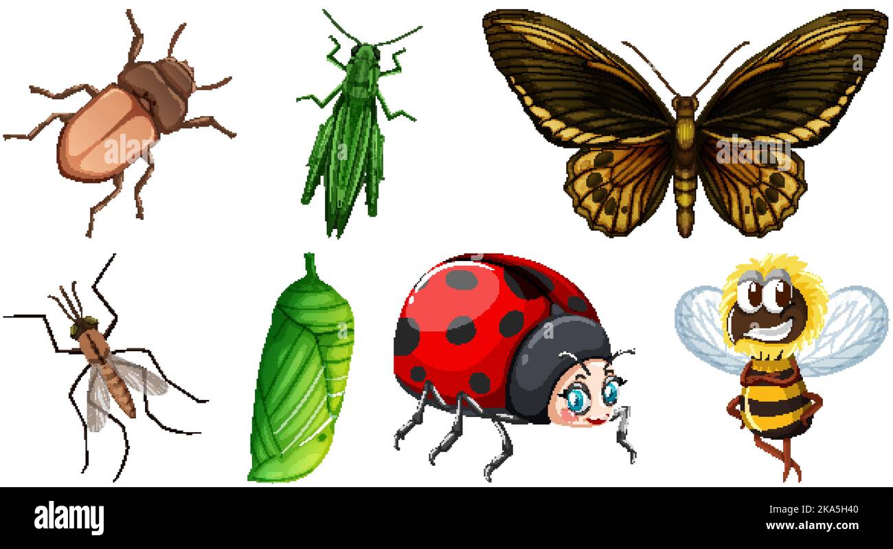 Two Different Insects Set of different kinds of insects illustration Stock Vector Image & Art ...