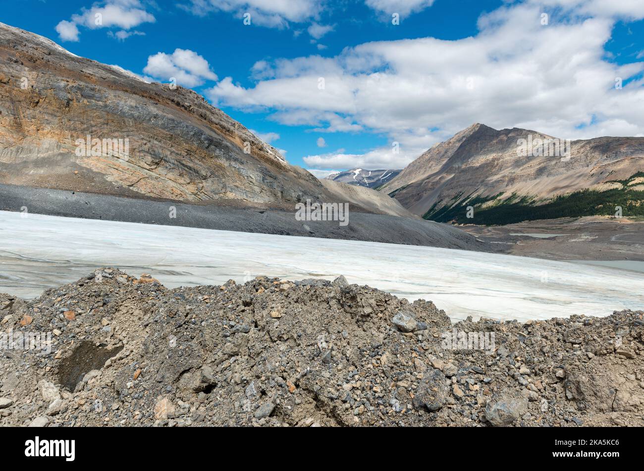 Athabasca glacier in summer, Columbia Icefield, Jasper national park, Alberta, Canada. Stock Photo