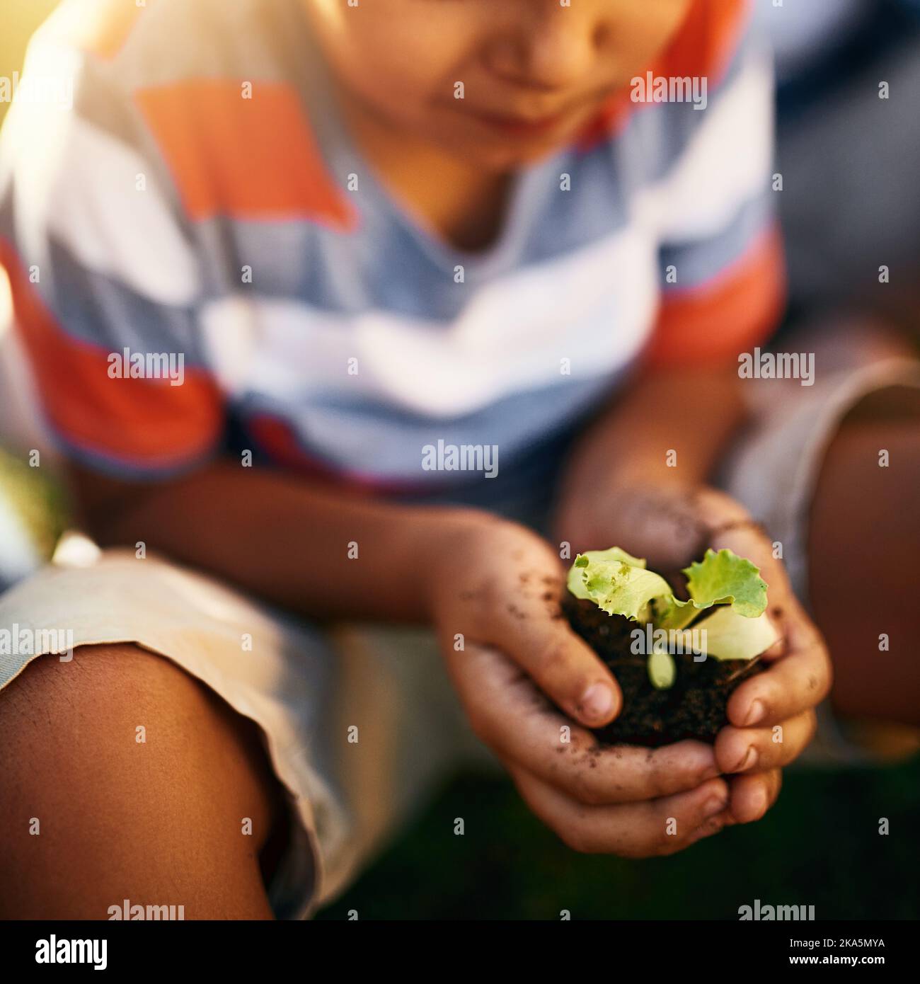 Teach kids to build respect for the environment. Closeup shot of an unidentifiable little boy holding a plant growing in soil. Stock Photo