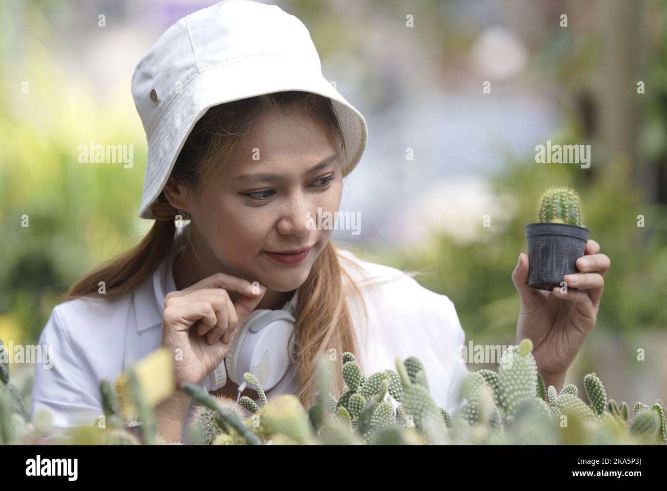 girl decorating a tree at the nursery Stock Photo Alamy
