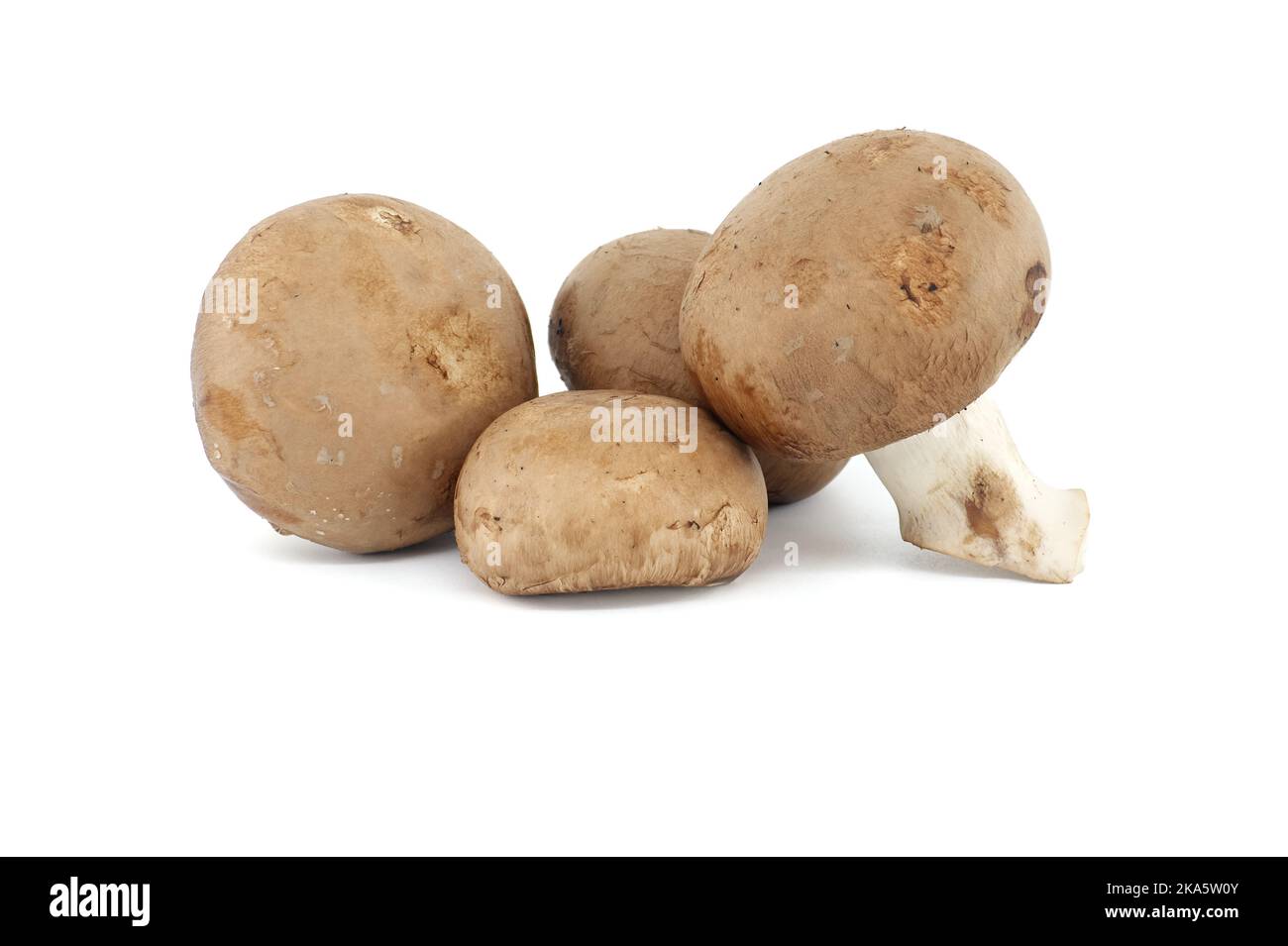 Fresh Baby Bella or Cremini whole mushrooms isolated on white