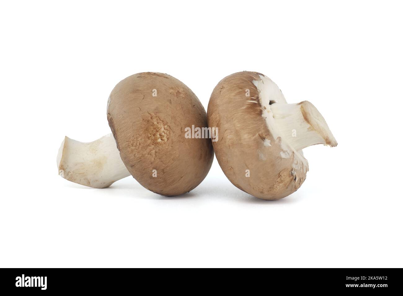 Fresh Baby Bella or Cremini whole mushrooms isolated on white