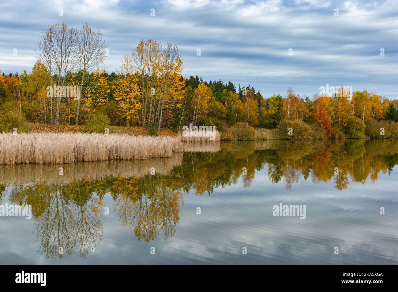 Forest lake in cloudy, autumn weather. Late fall. Europe. Stock Photo