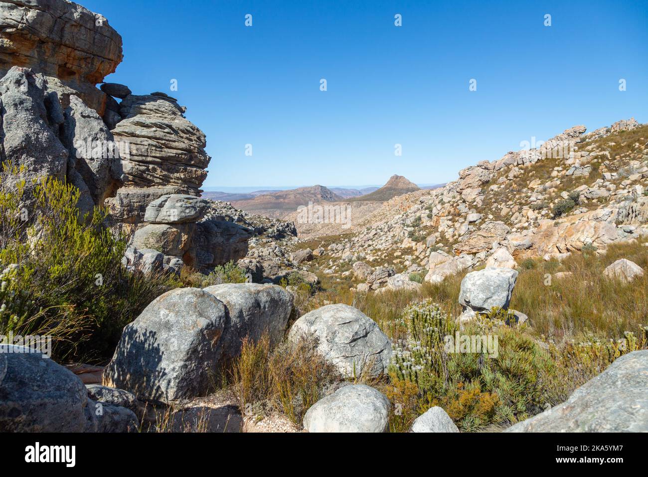cederberg hiking boots
