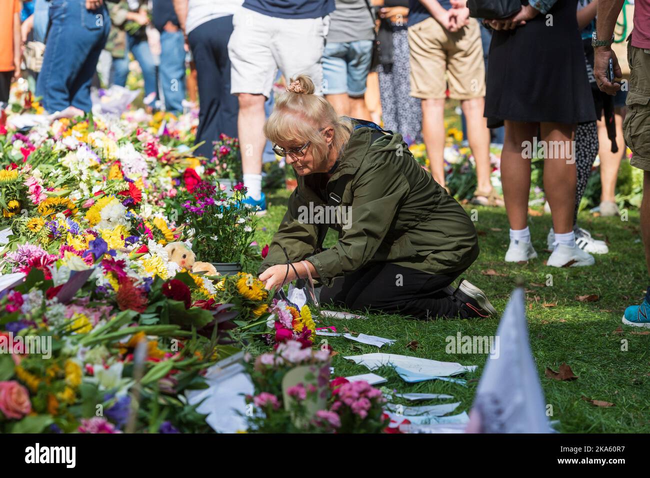 A woman laying flowers on the floral tributes in Green Park, left by mourners to mark the Queen Elizabeth II death. Green Park, London, UK.  11 Sep 20 Stock Photo