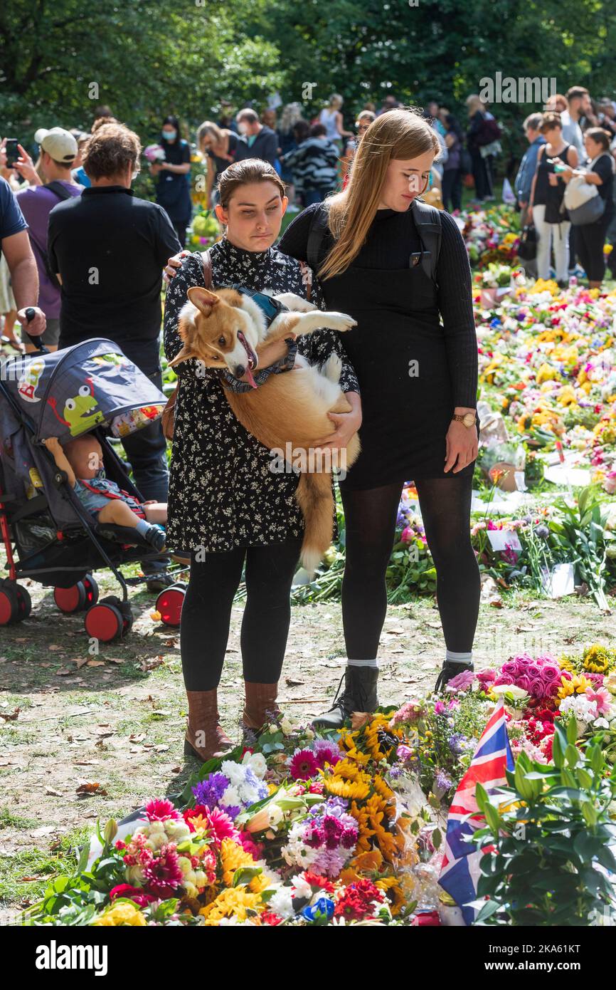 A woman crying while viewing the floral tributes in Green Park, left by mourners to mark the Queen Elizabeth II death. Green Park, London, UK.  11 Sep Stock Photo